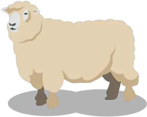 Sheep Wool Animal Sheep Wool Png Sheep Png