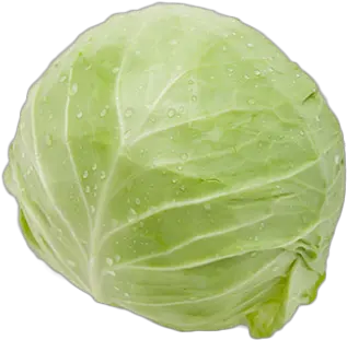 Cabbage Png Image Free Cabbage Cabbage Transparent