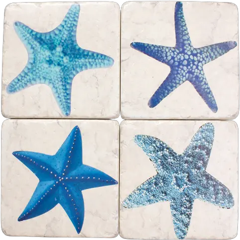 Coasters Set 4 U0027starfishu0027 Starfish Png Starfish Transparent