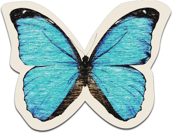 Online Butterfly Retro Animal Sticker Butterfly Life Is Strange Png Retro Png