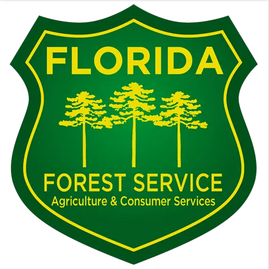 Florida Florida Forest Service Graphic Png Forest Service Logo