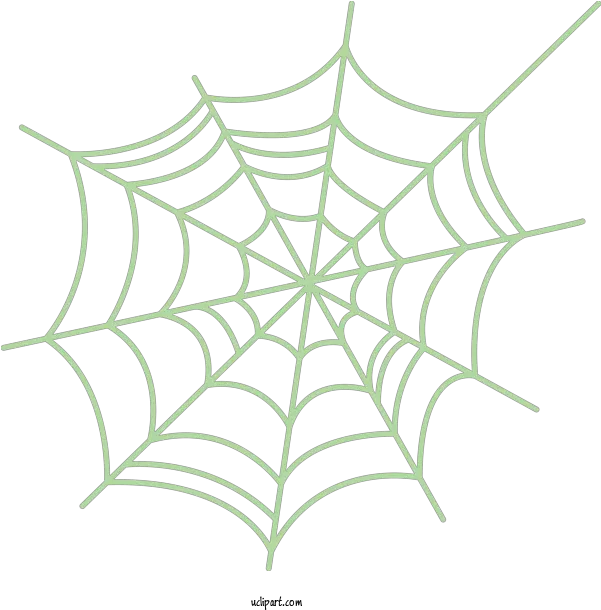 Holidays Spider Web Line Art For Drawing Spider Web Cartoon Png Spider Web Transparent