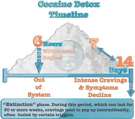 Cocaine Timelinepngpagespeedcejhqsglasit Health All In One Corporate Media Png Cocain Png