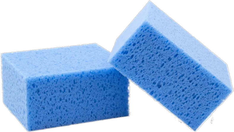 Sponge Sponge Blue Clipart Png Sponge Png