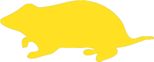 Reuse Icons Images Png Transparent Marsupial Hamster Png