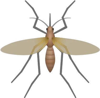 Mosquito Icon Parasitism Png Mosquito Icon