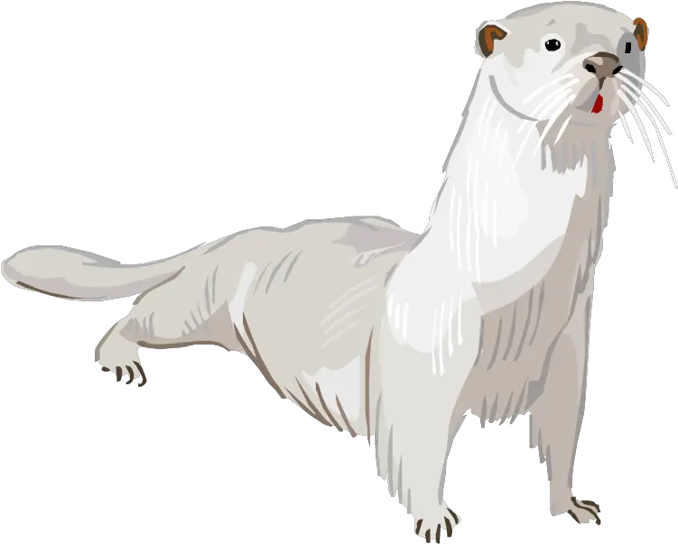 Otter Png Transparent Ferret Otter Png