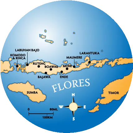 Discover Flores Komodo Png