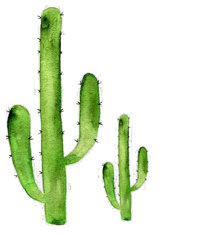 Sticker Art Cactaceae Succulent Plant Redbubble Cactus Png Watercolor Cactus Drawing Cactus Clipart Png