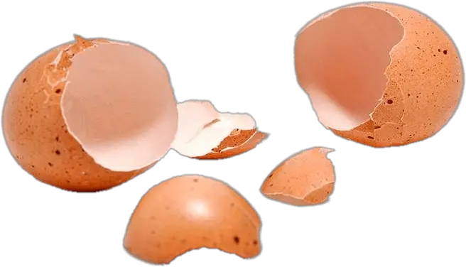 Two Cracked Eggshells Transparent Png Stickpng Cracked Egg Shell Png Cracked Egg Png