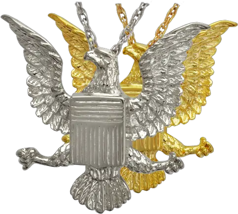 Eagle Badge Gold Png Ashes Png