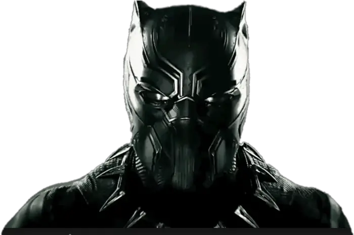 Black Panther Head Transparent Png Superhero Black Panther Head Panther Transparent