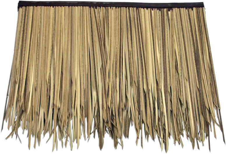 Baja Palm Thatch 3 Layer Subpanel 31u201dl X 24u201dh Fire Rated Thatched Roof Texture Png Roof Png