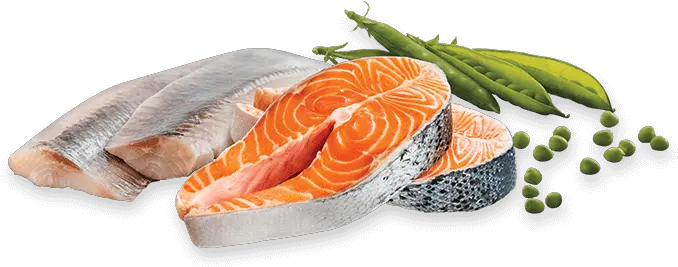 Crave With Protein From Salmon U0026 Ocean Fish Fish Slice Png Ocean Fish Png