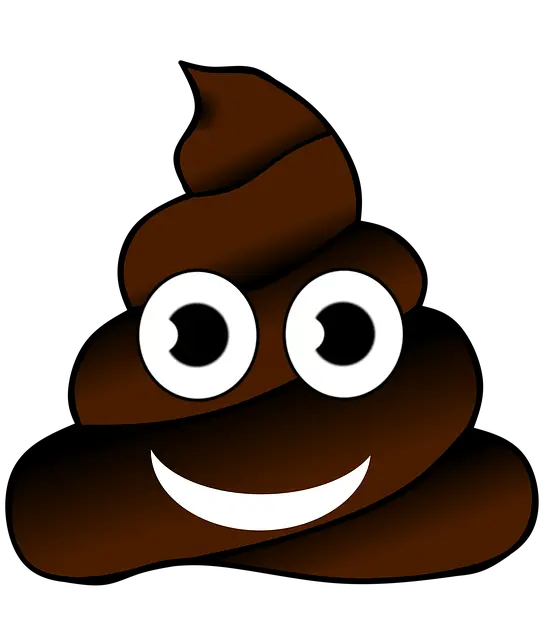 Download Healthy Poop Fezes Png Shit Emoji Png