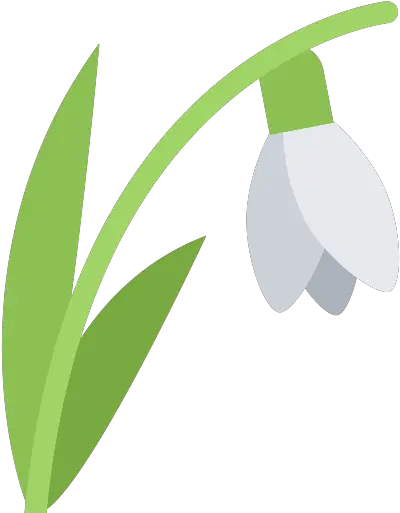 Daffodil Vector Svg Icon Snowdrop Png Daffodil Png
