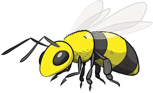 Registration Information Hornet Cartoon Png Bee Icon League