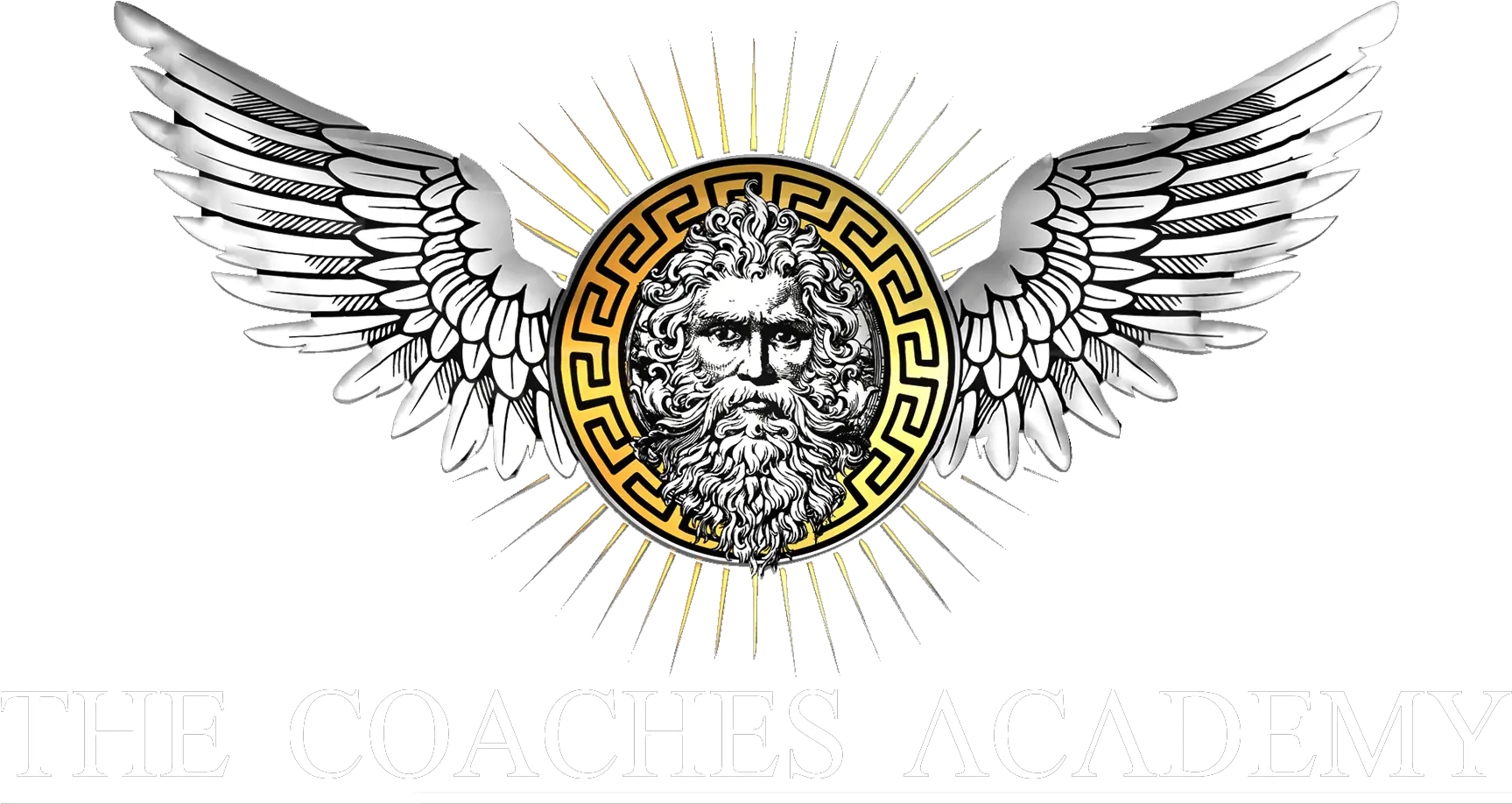 The Titans Academy Business Mentor U0026 Coaching Perth Png Logo Transparent
