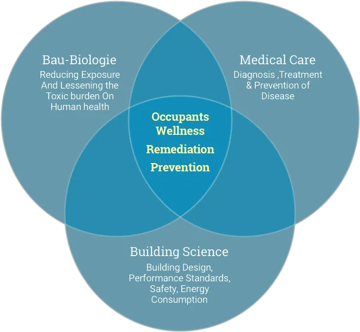 Venn Diagram Mead Indoor Png Venn Diagram Png