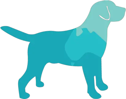 Service Dog Breeding U2014 Career Dogs Australia National Dog Day Black Lab Png Dog Png Transparent png