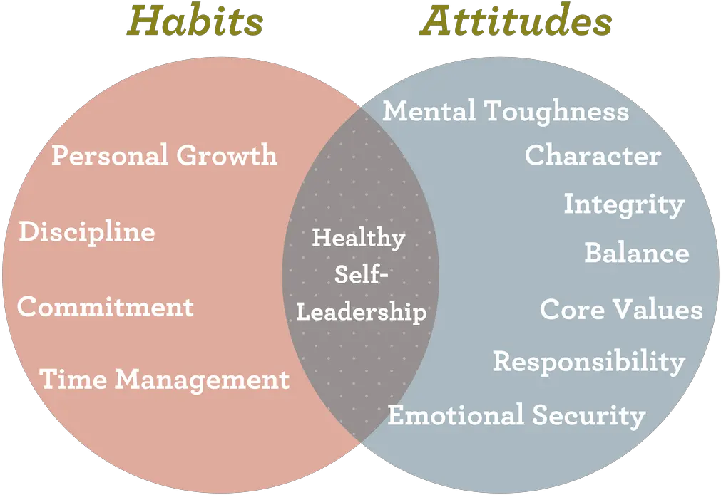 Character Educationvenndiagram1 Growing Leaders Apprenticeship And Internship Venn Diagram Png Venn Diagram Png