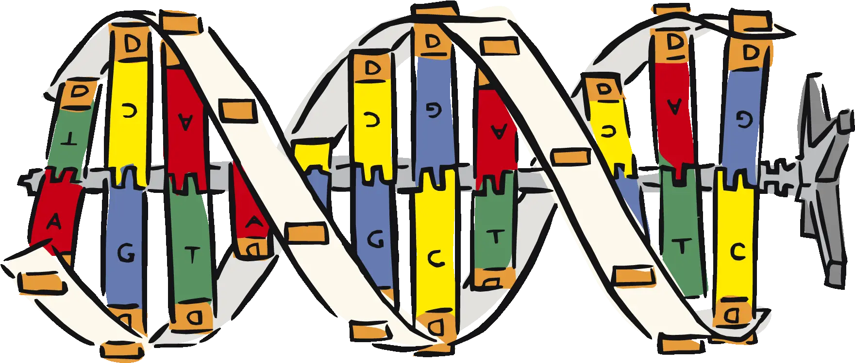 Dna Strand Clipart Clip Art Bay Dna Strand Dna Clipart Png Dna Strand Png