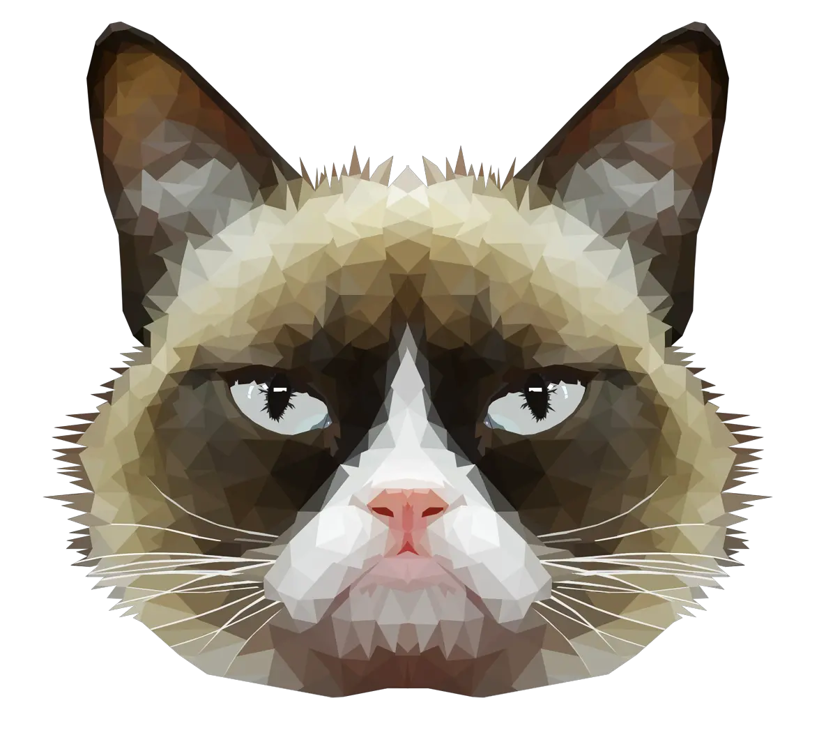 Download Pics For U003e Transparent Tumblr Grumpy Cat Grumpy Head Cat Face Png Cats Transparent Background