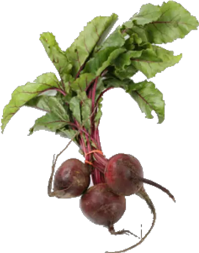 Beet Png Beetroot Plant Beet Png