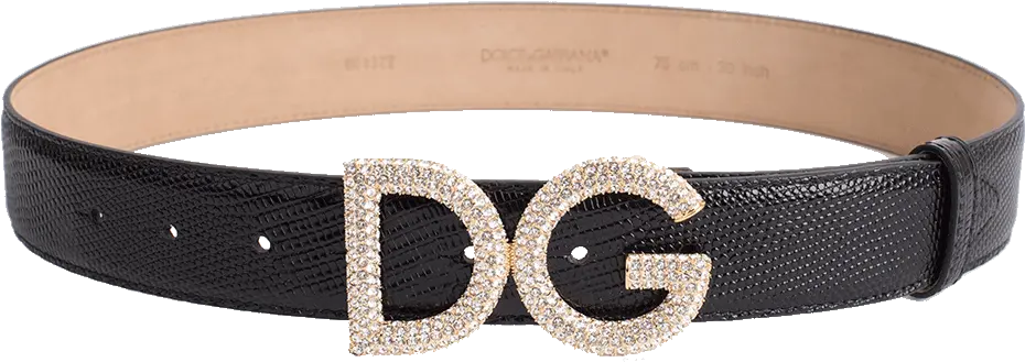 Iguana Dg Crystal Logo Belt Png Dolce And Gabbana