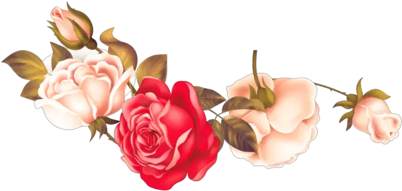 Rose Png Flower Image Free Download Searchpngcom Garden Roses Pink Roses Png