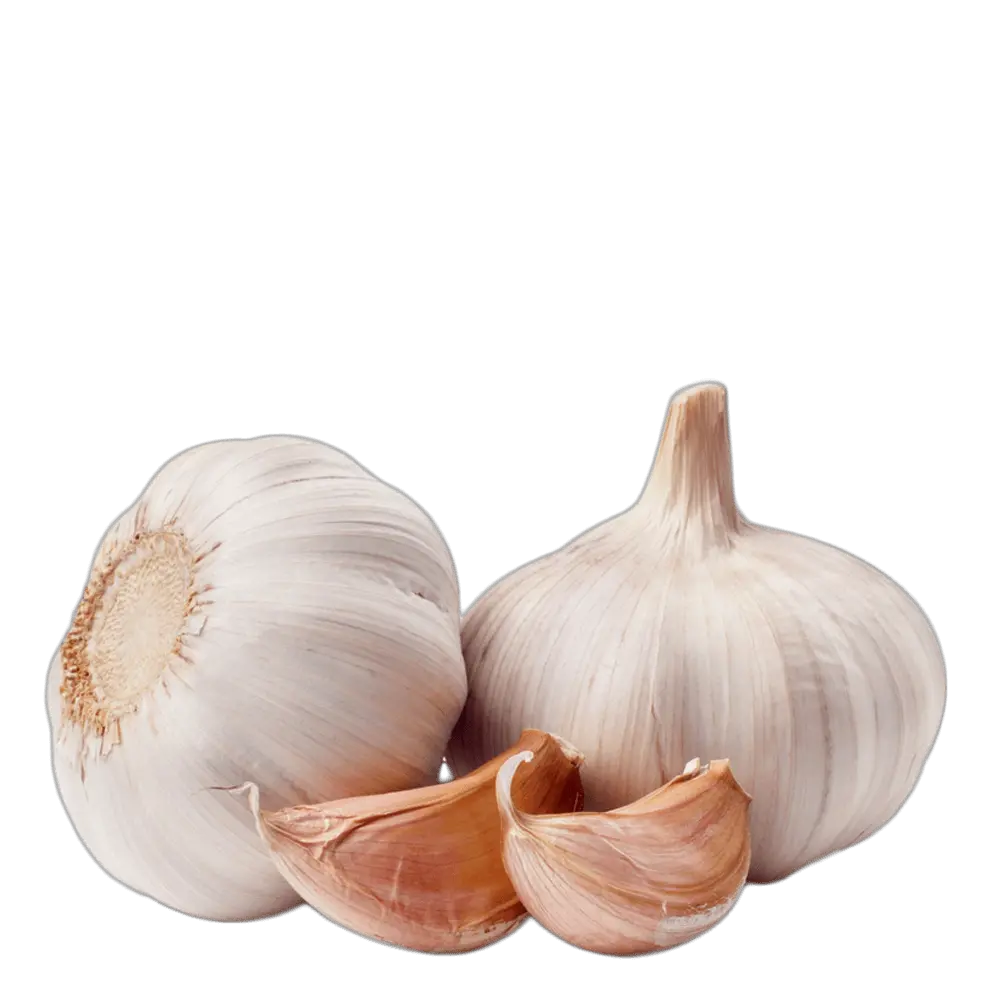 Garlic Sticker By Jillhdz Garlic Images Hd Png Download Garlic Transparent Background