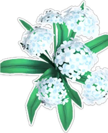White Hydrangea Hydrangea Png Hydrangea Png