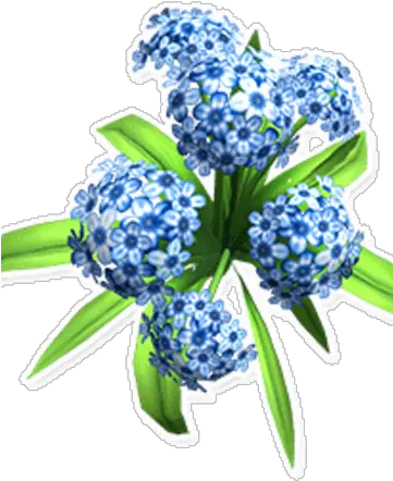 Blue Hydrangea Bouquet Png Hydrangea Png