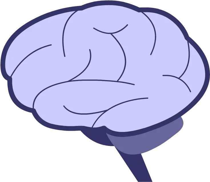 Brain Brainpop Sketch Png Brain Icon Vector