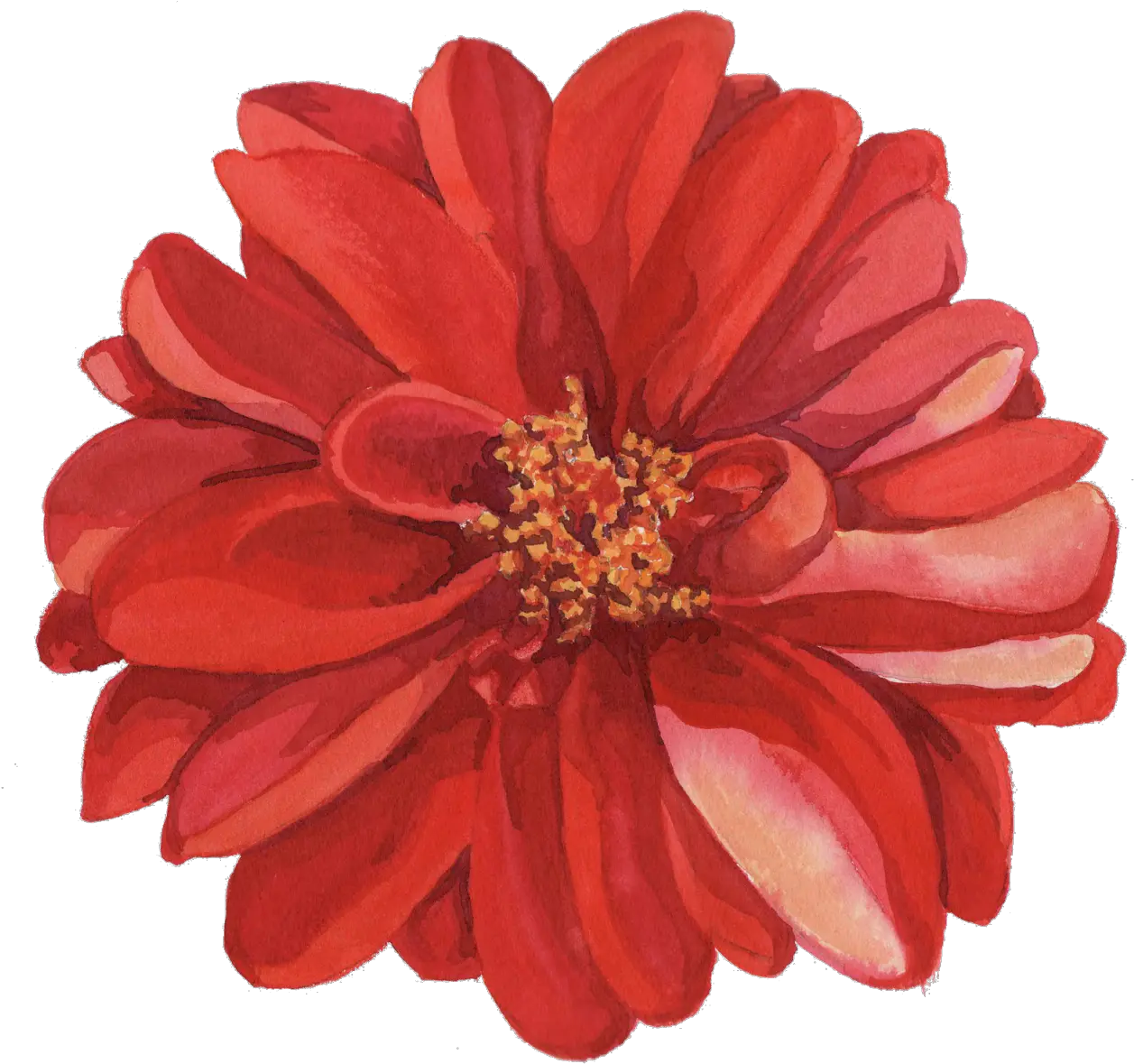 Flower Crown Png Tumblr Transparency Photo Agenda Flower Drawing Transparent Background Pinterest Png