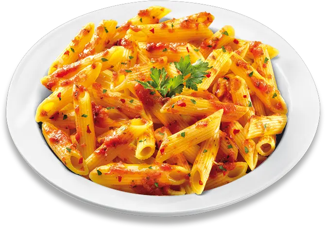 Penne Pasta With Arrabbiata Sauce Frozen Food Gias Food Png Pasta Png