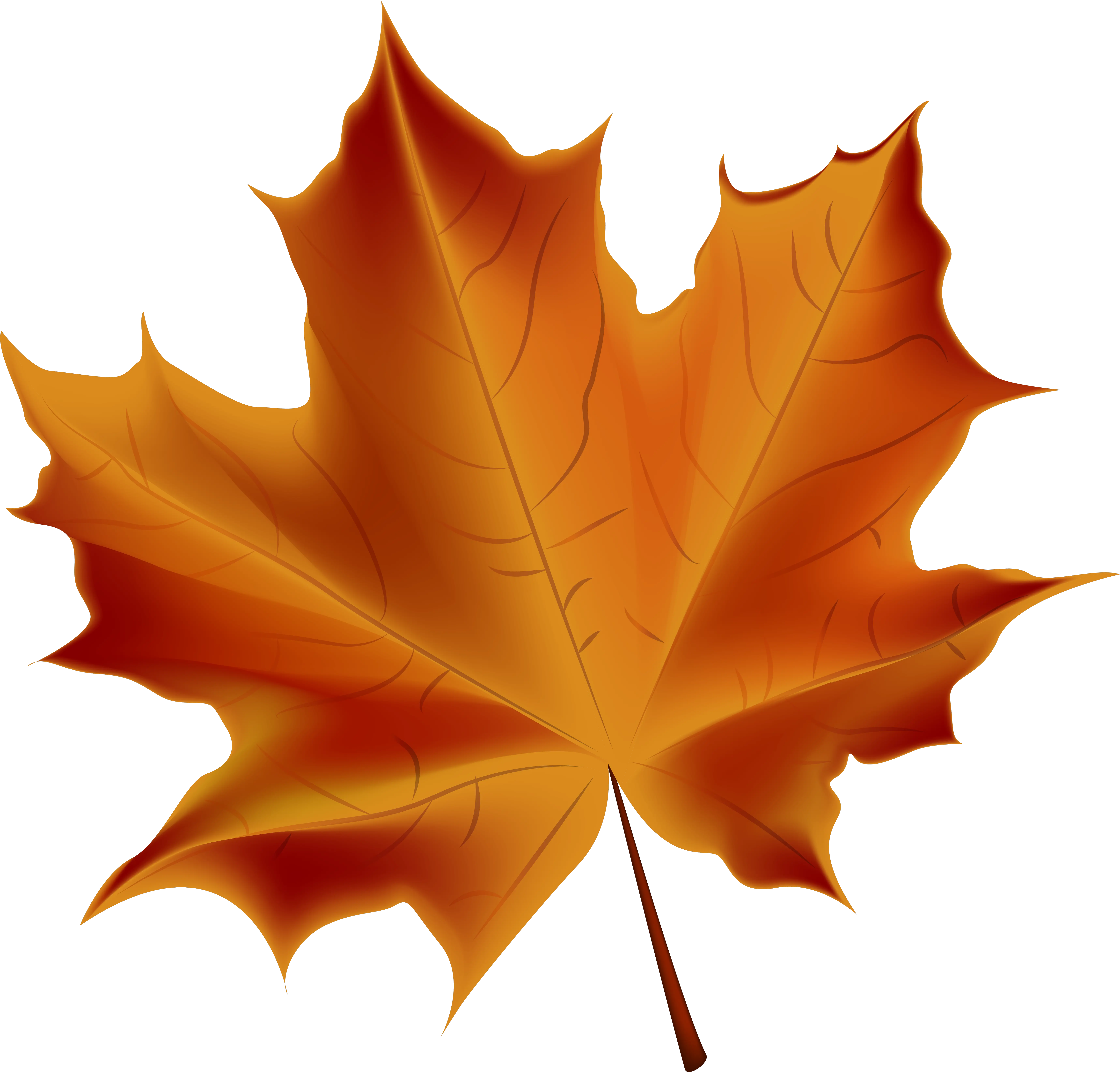 Leaves Transparent U0026 Png Clipart Free Download Ywd Transparent Background Fall Leaf Leaves Clipart Png
