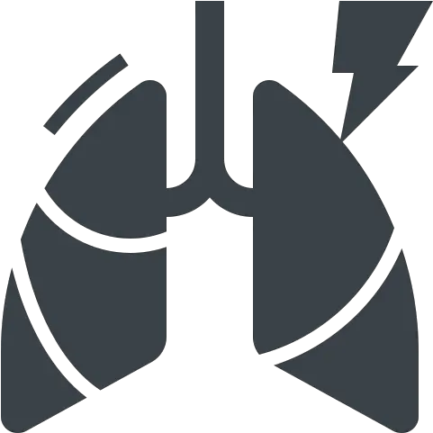 Pneumonia Icon Lung Inflamation Bronchitis Neumonia Icon Png Lung Icon