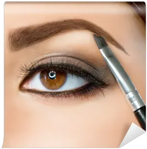 Make Up Eyebrow Makeup Brown Eyes Wall Mural U2022 Pixers U2022 We Live To Change Imagenes De Cejas Mujeres Png Brown Eyes Png