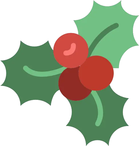 Mistletoe Christmas Phoradendron Tomentosum Plant Flora For American Holly Png Flora Icon