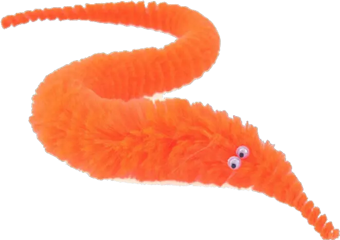 Drumboiravy Toy Worm On String Png Worm Transparent Background