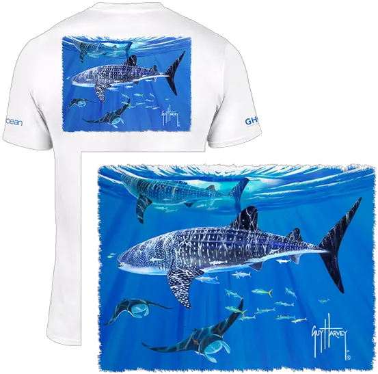 4ocean Guy Harvey Whale Shark T Whale Shark Png Whale Shark Png