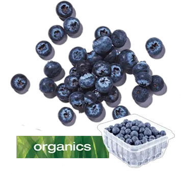 Blueberryfest 2020 Longou0027s Maqui Png Blueberries Icon