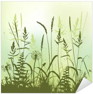 Real Grass Silhouette Meadow During Summertime Sticker U2022 Pixers We Live To Change Shilhouette Meadow Png Grass Silhouette Transparent