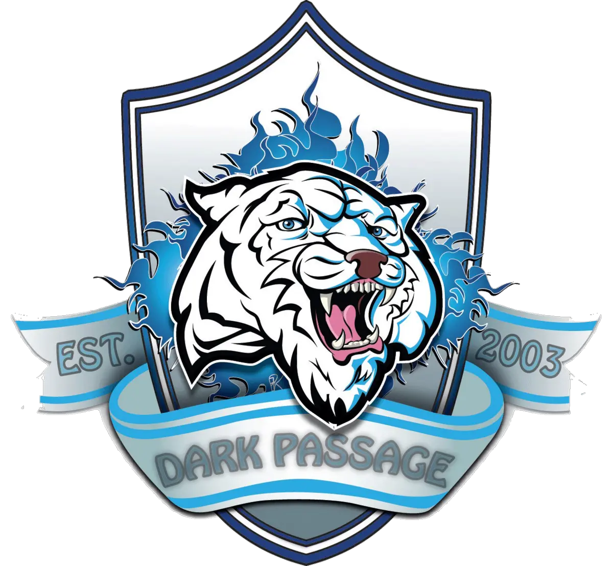 Team Dp Dark Passage Csgo Roster Matches Statistics Dark Passage Logo Png Dp Logo