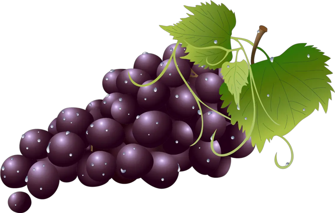 Grape Clipart Transparent Background Transparent Background Grapes Clipart Png Grapes Transparent Background