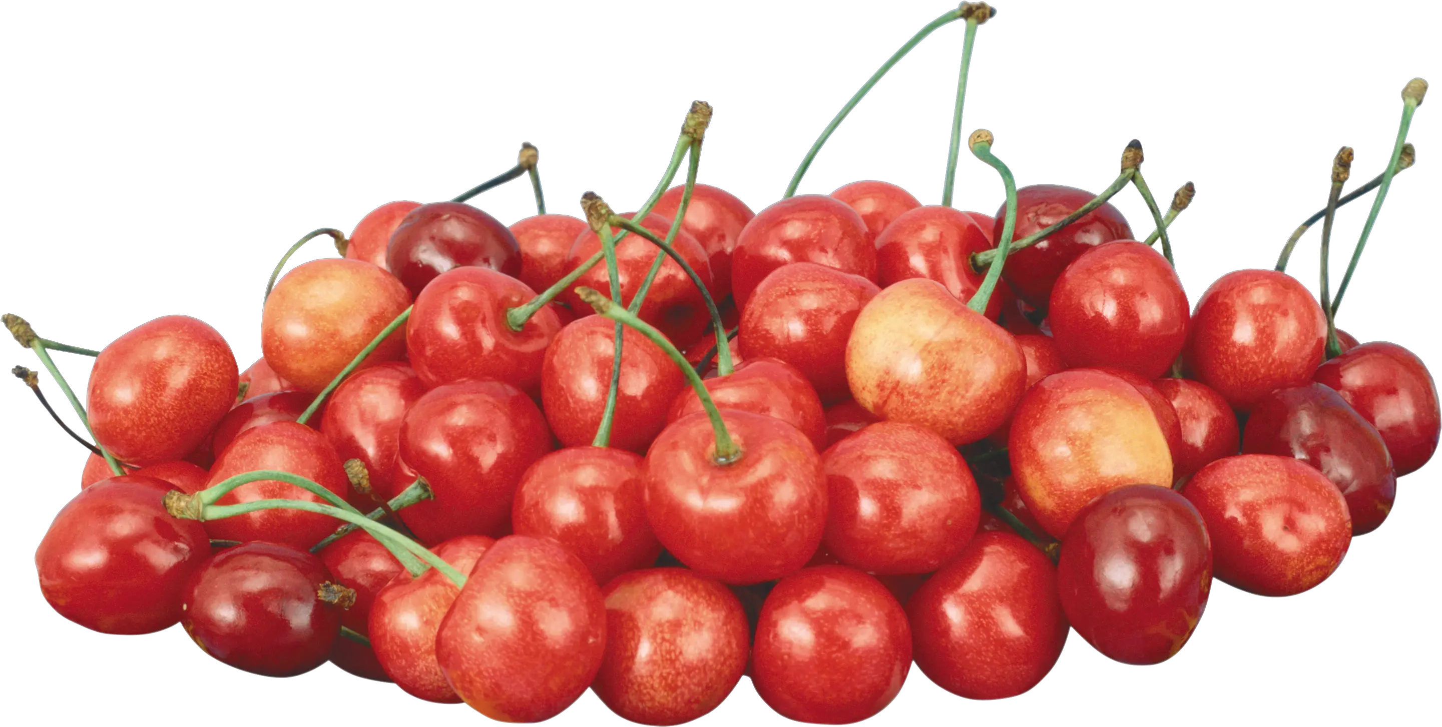 Download Cherries Png Image For Free Cherry Transparent Background