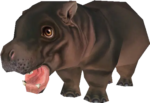 Pc Computer Zoo Tycoon 2 Pygmy Hippotamus Calf The Hippo Zoo Tycon 2 Png Zoo Tycoon 2 Icon