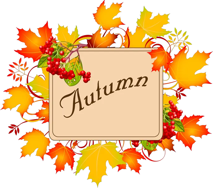 Library Of Free Thanksgiving Jpg Border Autumn Leaves Background Png Border Frame Png