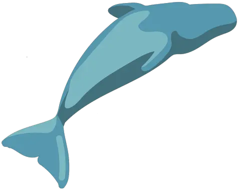 Cartoon Flat Whale Image Transparent Png U0026 Svg Vector File Blue Whale Whale Transparent Background